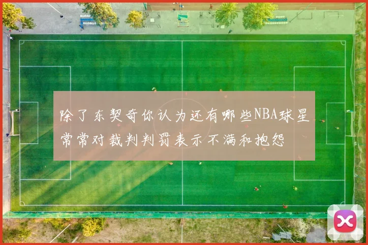 除了东契奇你认为还有哪些NBA球星常常对裁判判罚表示不满和抱怨