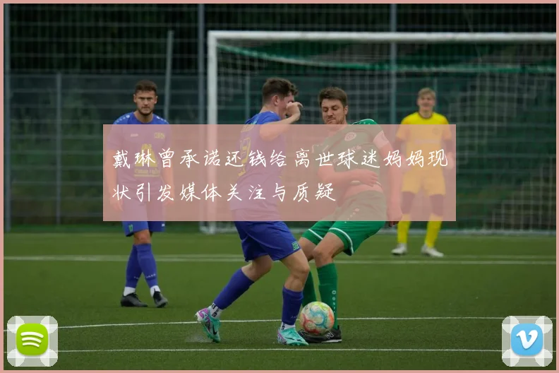 戴琳曾承诺还钱给离世球迷妈妈现状引发媒体关注与质疑
