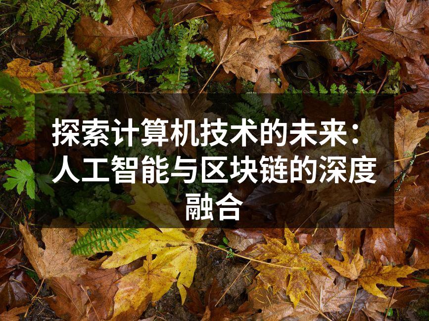 探索计算机技术的未来:人工智能与区块链的